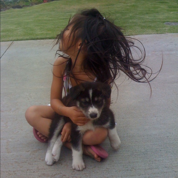 Meet your Posher, Krista - Picture 1 of 1